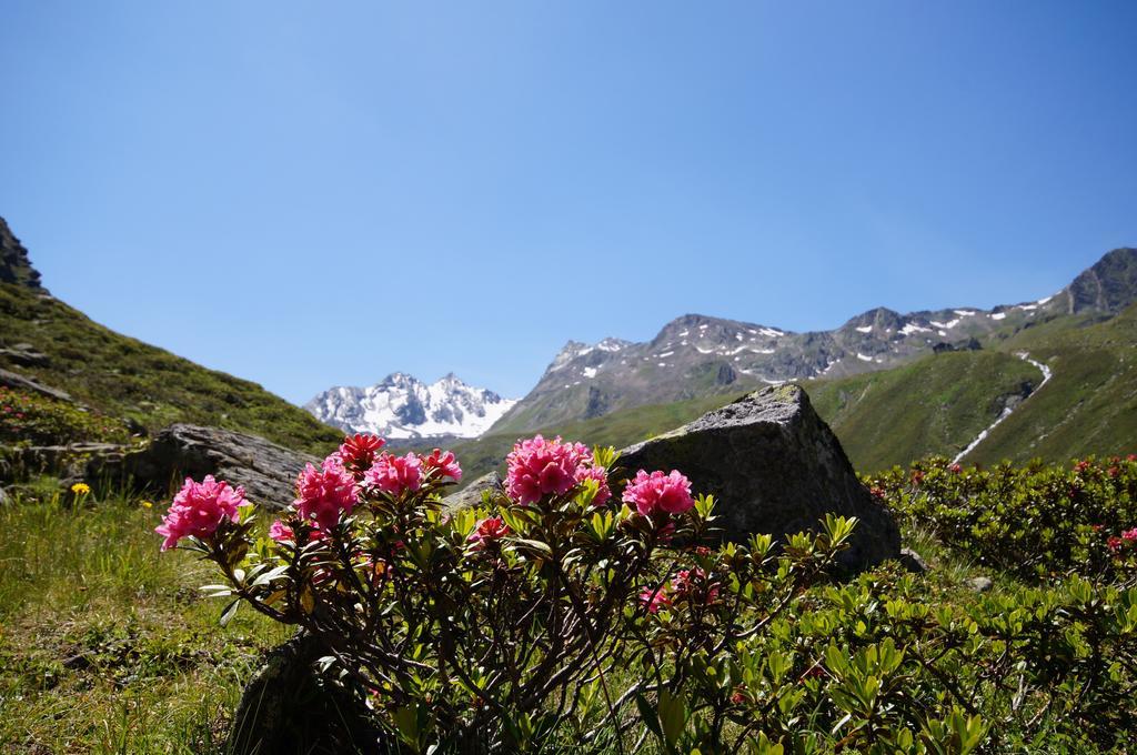 Appartementhaus Nadine Langenfeld Bagian luar foto